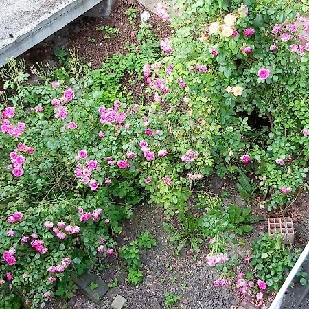 Mija Apartment ซาราเยโว ภายนอก รูปภาพ